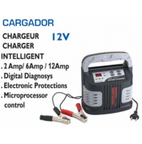 Cargador Bateria 12v-2/6/12amp